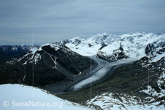 Foto: Munt Pers, Piz Cambrena, Piz Palü, Bellavista, Piz Zupo, Piz Argient und Fortezzagletscher. Gut zu sehen ist der  Zusammenfluss der Eisströme Persgletscher und Morteratschgletscher mit langezogener Gletscherzunge. Aufnahme ab Dia.