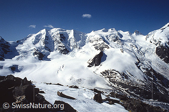Foto: Blick über den Persgletscher zu Piz Palü, Bellavista, Piz Zupo, Piz Argient und Crast Agüzza.