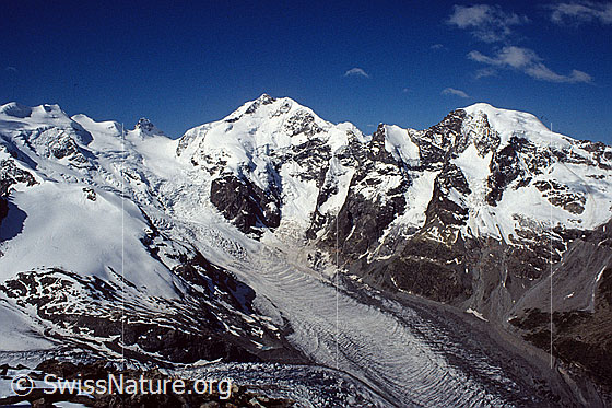 Foto: Engadiner Hochgebirge mit Bellavista, Piz Zupo, Piz Argient, Crast Agüzza, Piz Bernina, Piz Morteratsch und dem Eisstrom des Morteratschgletschers.