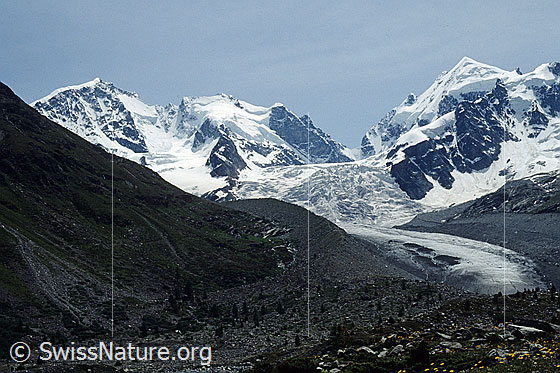 Foto: Blick über das Val Roseg zu Piz Bernina (Biancograt), Piz Scerscen, Piz Roseg und Tschiervagletscher mit Gletscherzunge und Seitenmoräne.