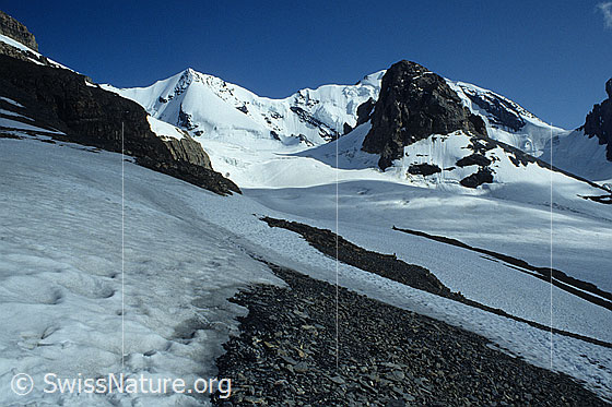 Foto: Blüemlisalp (Wyssi Frau, Blüemlisalphorn), Ufem Stock und Blüemlisalpgletscher. Aufnahme ab Dia.