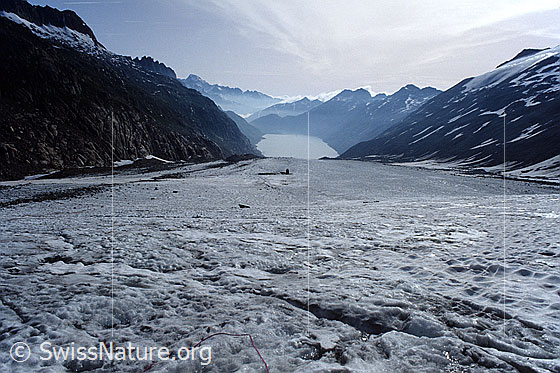 Foto: Blick über den Oberaargletscher auf den Oberaarsee. Im Hintergrund sind Galenstock und Sidelhorn erkennbar. Aufnahme ab Dia.