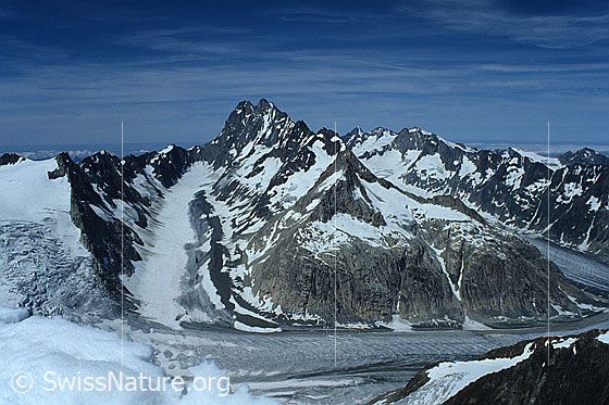 Foto: Gletscherlandschaft mit Finsteraargletscher, Strahlegggletscher und Lauteraargletscher. Gipfel: Nasse Strahlegg, Alte Strahlegg, Strahlegghorn, Strahleggpass, Bergmassiv mit Schreckhorn, Lauteraarhorn, Klein Lauteraarhorn, Hugihorn, Lauteraar-Rothörner, Abschwunghorn und im Hintergrund Bergketten mit Wetterhorn, Mittelhorn, Bärglistock, Rosenhorn, Ewigschneehorn, Ränfenhorn und Hangendgletscherhorn. Aufnahme ab Dia.