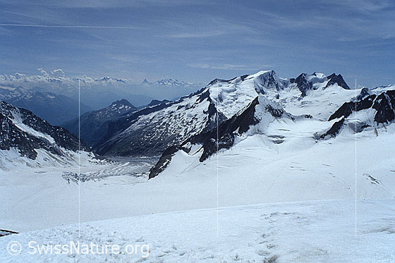 Foto: Eggishorn, Fieschergletscher, Studergletscher, Finsteraarrothorn, Kleines Wannenhorn, Gross Wannenhorn, Schönbühlhorn und Fiescher Gabelhorn. Aufnahme ab Dia.