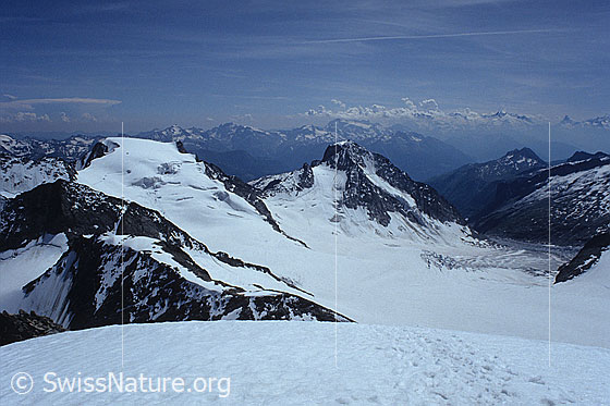 Foto: Blick vom Oberaarhorn zu Oberaarrothron, Vorder Galmihorn, Wasenhorn,  Eggishorn und auf die Gletscherlandschaft mit Galmigletscher, Studergletscher und Fieschergletscher. Aufnahme ab Dia.