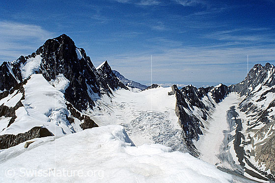 Foto: Blick vom Gipfel des Oberaarhon zu Studerhorn, Studergletscher, Finsteraarhorn,  Agassizhorn, Finsteraarjoch, Finsteraargletscher, Nasse Strahlegg, Alte Strahlegg, Strahlegghorn, Strahlegggletscher mit markanter Seitenmoräne, Schreckhorn und Lauteraarhorn. Aufnahme ab Dia.