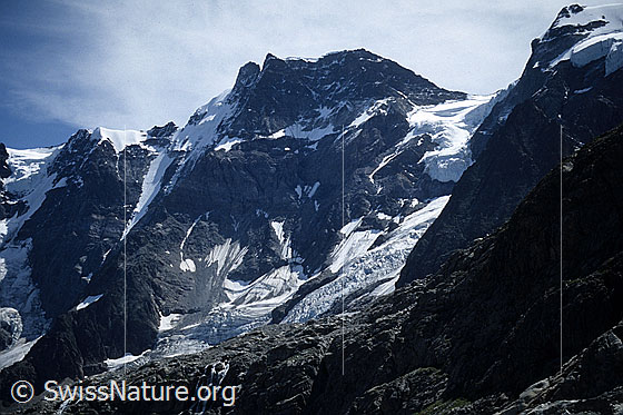 Foto: Vordre Schmadrigletscher, Grosshorn (Nordwand), Hindre Schmadrigletscher, Schmadrijoch und Schmadrifirn. Aufnahme ab Dia.