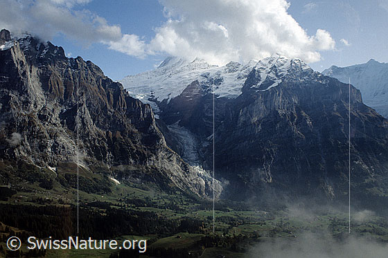 Foto: Chrinnenhorn, Oberer Grindelwaldgletscher, Wächselgletscher und Mättenberg mit Quellwolken. Im Vordergrund die Alpweiden von Grindelwald. Aufnahme ab Dia.