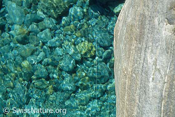 Foto: Blick ins türkisfarbene, klare Wasser der Verzasca auf zahlreiche kleine Steine im Flussbett. Daneben ist ein geschliffener Felsen mit verschiedenfarbiger Sturktur zu sehen.