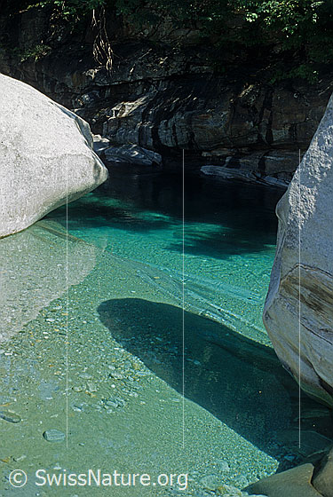Foto: Fluss im Val Verzasca. Türkisfarbenes, klares Wasser fliesst zwischen geschliffenen Felsblöcken hindurch.