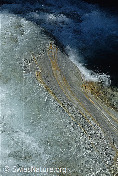 Foto: Vom Fluss geschliffener Fels in der Verzasca, Tessin. Das Gestein ist mehrfarbig und weist eine interessante Struktur auf. Das Wasser fliesst sprudelnd über eine kleine Felsstufe.