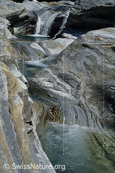Foto: Vom Fluss geschliffener Fels in der Verzasca, Tessin. Das Gestein ist mehrfarbig und weist eine interessante Struktur auf. Das klare Wasser fliesst über kleine Felsstufen und sammelt sich in Wasserbecken.