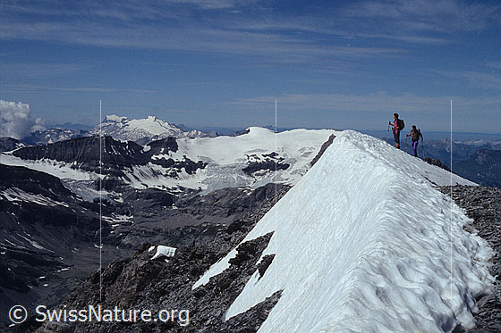 Foto: Alpinisten auf dem Gipfel des Rinderhorn mit Aussicht auf Schneehorn, Les Diablerets, Wildhorn und Wildstrubel. Gletscher: Glacier des Audannes, Glacier de Ténéhet, Lämmerengletscher und Wildstrubelgletscher. Aufnahme ab Dia.