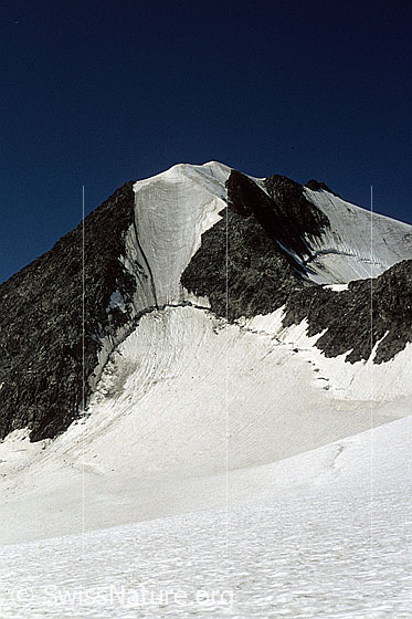 Foto: Blick vom Petit Combin zu Combin de Boveire und Glacier de Boveire. Aufnahme ab Dia.