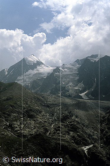 Foto: Combin de Corbassière, Petit Combin, Glacier des Follâts und Glacier de Corbassière. Darüber grössere Quellwolken. Aufnahme ab Dia.