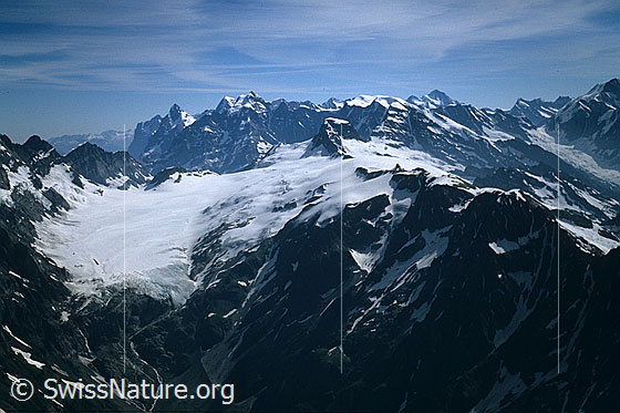 Foto: Blick vom Gipfel des Balmhorn auf die Berner Alpen. Davor Gletscherlandschaft mit Kanderfirn, Alpetligletscher, Tschingelfirn, Birggletscher, Inner Talgletscher Tennbachgletscher und Langgletscher. Aufnahme ab Dia.