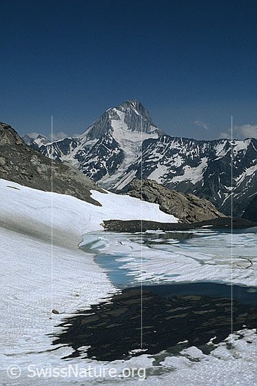 Foto: Bietschhorn von Nordwesten. Im Vordergrund ein aufgetauter Bergsee umgeben von Eisresten und Schnee.