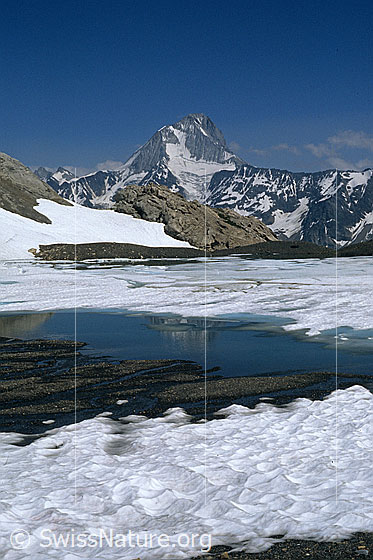 Foto: Bergsee und Bietschhorn. Der grösste Teil des Gewässers ist noch mit Eis bedeckt. Am Ufer sind Schneereste zu sehen.