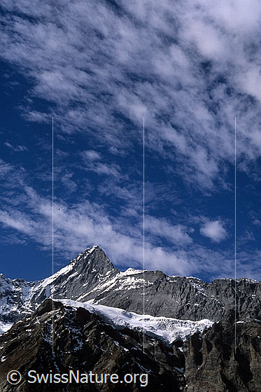 Foto: Eiger, Mittellegi und Challifirn. Darüber lockere Föhnwolken am blauen Himmel. Aufnahme ab Dia.