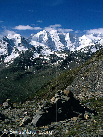 Foto: Piz Cambrena und Piz Palü von NNE (Aufstieg Forcla Pischa / Piz Albris)
Aufnahme ab Dia.