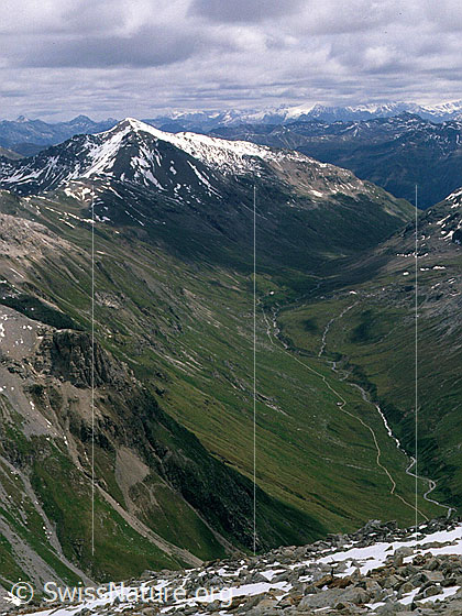Foto: Blick vom Piz Albris in das Val da Fain.
Aufnahme ab Dia.