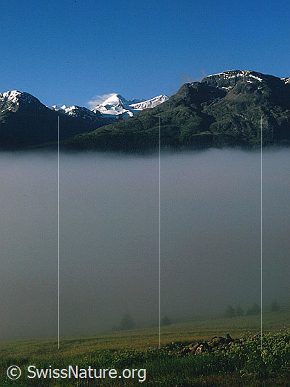 Foto: Nebel über dem Engadin. Darüber Piz Morteratsch und Piz Tschierva von NNW (Aufstieg Piz Ot)
Aufnahme ab Dia.