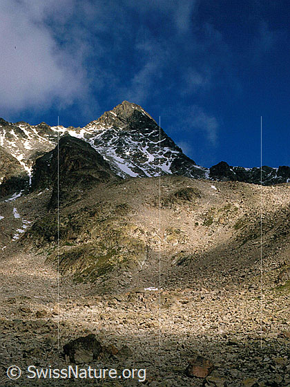 Foto: Gipfelaufbau des Piz Ot von ENE.
Aufnahme ab Dia.