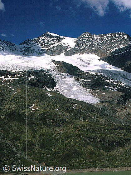 Foto: Piz Cambrena und Piz d