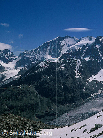 Foto: Biancograt, Piz Bernina und Piz Scerscen von WNW.
Davor: Sellagletscher.
Aufnahme ab Dia.