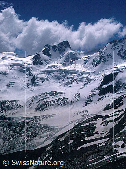 Foto: La Sella von N.
Davor: Roseggletscher.
Aufnahme ab Dia.