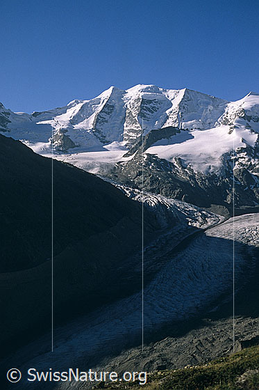Foto: Piz Palü von NNW (Aufstieg Piz Mandra)
Davor: Fortezza, Vadret da la Fortezza, Morteratschgletscher (Vadret da Morterascht)
Aufnahme ab Dia.
