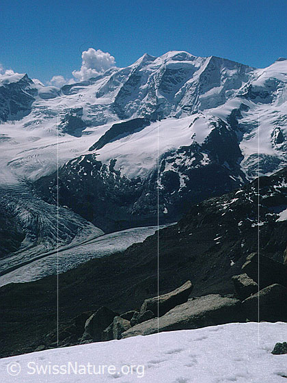Foto: Piz Palü von NNW (Aufstieg Piz Mandra)
Davor: Zusammenfluss Morteratsch- und Persgletscher (Vadret da Morteratsch und Vadret Pers). Darüber der Vadret da la Fortezza (Fortezzagletscher) und die Fortezza.
Aufnahme ab Dia.