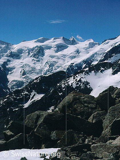 Foto: Bellavista und Piz Zupo von NNW (Gipfel Piz Mandra)
