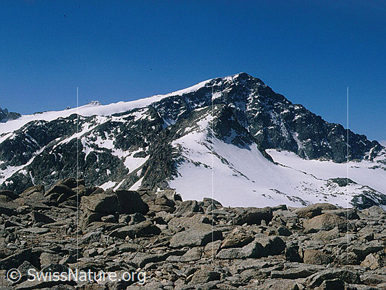Foto: Piz Tschierva von NNW (Gipfel Piz Mandra)
Davor der Piz Misaun.