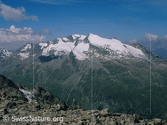 Foto: Piz Corvatsch von ESE (Gipfel Piz Mandra)
Gletscher: Vadret dal Murtel, Vadret da l