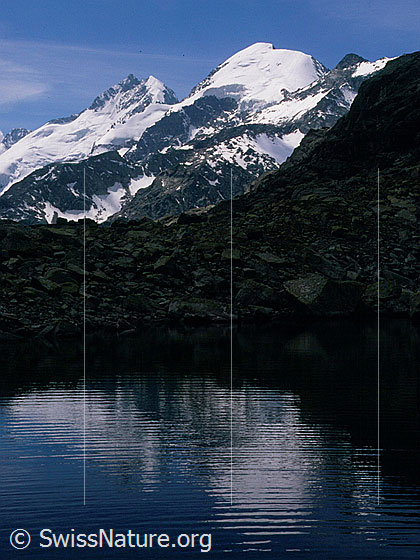 Foto: Piz Bernina und Piz Morteratsch von N (Puoz Ot)
Spiegelung in Bergsee