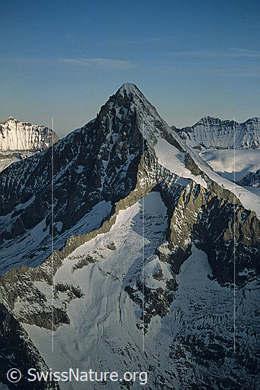 Foto: Bietschhorn von Süden und Morgenstimmung mit Licht und Schatten.