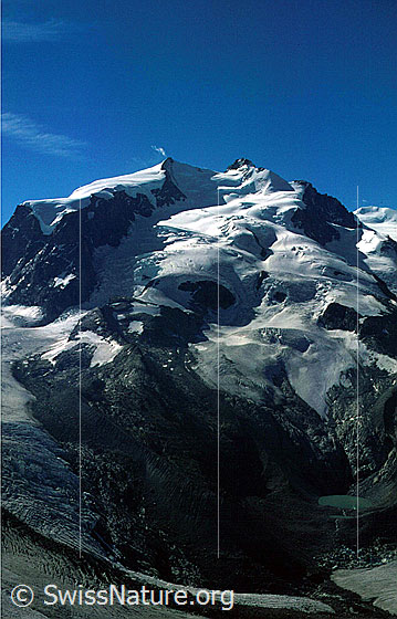 Foto: Monte Rosagruppe von NW (Gornergrat)
Nordend, Dufourspitze, Parrotspitze.
Monte Rosagletscher und Gornergletscher (unten).
Aufnahme ab Dia.