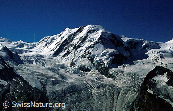 Foto: Lisjoch, Liskamm und Felikjoch von NW (Gornergrat)
Grenzgletscher und Zwillingsgletscher.
Aufnahme ab Dia.