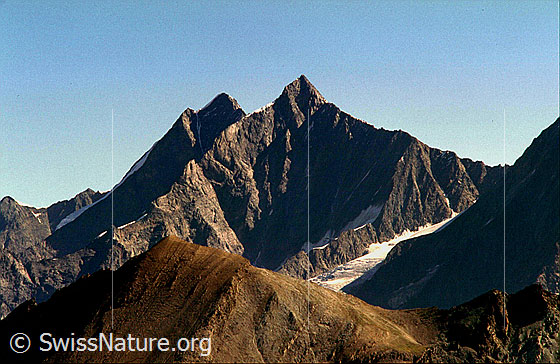 Foto: Dom und Täschhorn von SSW (Gornergrat)
Im Vordergrund der Gipfel des Oberrothorn.
Aufnahme ab Dia..