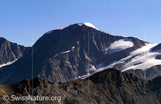 Foto: Alphubel von SSW (Gornergrat).
Aufnahme ab Dia.
