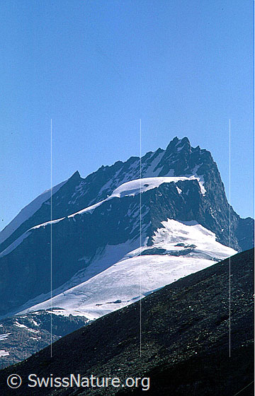 Foto: Rimpfischhorn von WSW (Gornergrat)
Aufnahme ab Dia.
