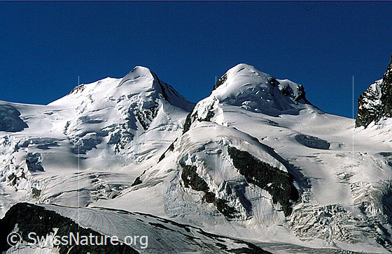 Foto: Felikjoch, Castor und Pollux, Schwarztor von N (Gornergrat).
Zwillingsgletscher und Schwärzegletscher.
Aufnahme ab Dia.