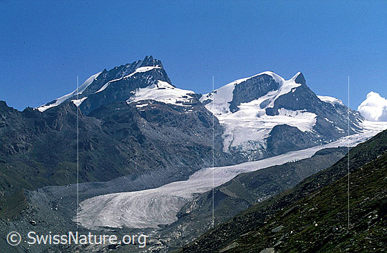 Foto: Rimpfischorn, Adlerpass, Strahlhorn und Adlerhorn von WSW (Region Gornergrat).
Gletscher: Findelgletscher (unten) und Adlergletscher (rechts oben).
Aufnahme auf Dia.

