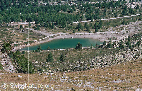 Foto: Grüensee
Aufnahme ab Dia.