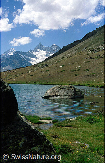 Foto: Dent Blanche, Ober Gabelhorn und Wellenkuppe von E (Stellisee).
Aufnahme ab Dia.