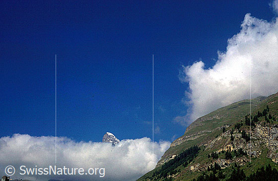 Foto: Gipfel des Matterhorns aus Wolkenschicht ragend von NE (Zermatt).
Aufnahme ab Dia.