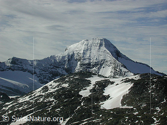 Foto: Im Aufstieg zum Bättlihorn. Blick Richtung SE auf die Nordwand des Bortelhorn