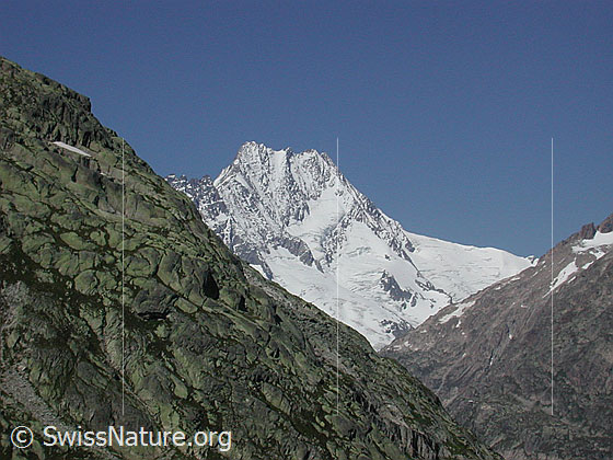 Foto: Lauteraar- und Schreckhorn