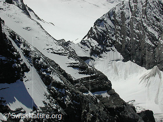 Foto: Tiefblick vom Gipfel auf die Gamchilücke.